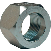 &eacute;crou hexagonal de minage Dixon, 1", Zingu&eacute;, Filetage NPT Les Fournitures Industrielles Méga