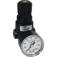 R&eacute;gulateur miniature R04 Wilkerson, 1/4" NPT, PSI max. de 300 psi, Standard Les Fournitures Industrielles Méga