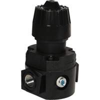 R&eacute;gulateur compact R16 Wilkerson, 1/4" NPT, PSI max. de 300 psi, Standard Les Fournitures Industrielles Méga