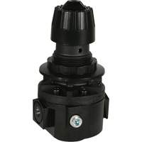 R&eacute;gulateur Wilkerson R26, 3/8" NPT, PSI max. de 300 psi, Standard Les Fournitures Industrielles Méga