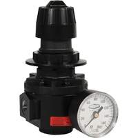 R&eacute;gulateur Wilkerson R26, 1/2" NPT, PSI max. de 300 psi, Standard Les Fournitures Industrielles Méga