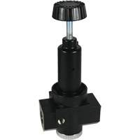 R&eacute;gulateur &agrave; d&eacute;bit &eacute;lev&eacute; R30 Wilkerson, 3/4" NPT, PSI max. de 300 psi, Standard Les Fournitures Industrielles Méga