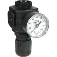 R&eacute;gulateur compact de s&eacute;rie 1, 1/2" NPT, PSI max. de 150 psi, Standard Les Fournitures Industrielles Méga