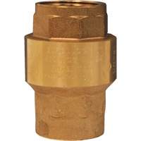 Horizontal Swing Check Valve Les Fournitures Industrielles Méga