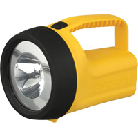 Lanterne flottante Readyflex de EverReady, DEL, 80 Lumens, Piles D Les Fournitures Industrielles Méga