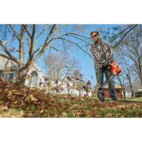3-in-1 VacPack Leaf Blower/Vacuum/Mulcher, 250 MPH Output, Electric Les Fournitures Industrielles Méga