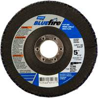 Flap Discs