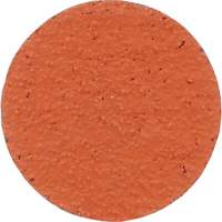 Coated Abrasives