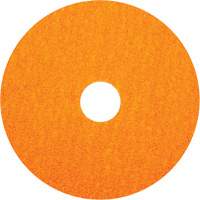 BlazeX F980 Fiber Disc, Ceramic Alumina, 36, 5" Dia x 7/8" Arbor Les Fournitures Industrielles Méga