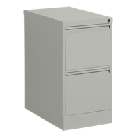Vertical Filing Cabinet, Steel, 2 Drawers, 15-1/7" W x 25" D x 29" H, Grey Les Fournitures Industrielles Méga