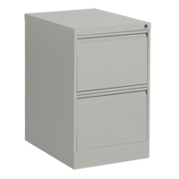 Vertical Filing Cabinet, Steel, 2 Drawers, 18-1/7" W x 25" D x 29" H, Grey Les Fournitures Industrielles Méga