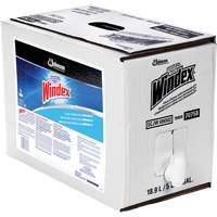 Nettoyant pour vitres Windex avec Ammoniac-D, 5 gal., Sac Les Fournitures Industrielles Méga