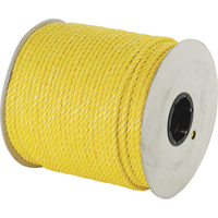 Twisted Poly Ropes