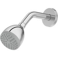One-Function Showerhead Les Fournitures Industrielles Méga