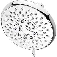 Pommes de douche  