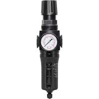Filtre/r&eacute;gulateur drain manuel avec bol en m&eacute;tal Modulair 300, 1/4" NPT, 250 PSI, Capacit&eacute; de 5,1 oz liq. Les Fournitures Industrielles Méga