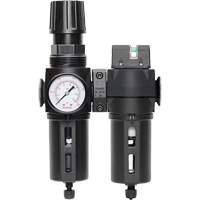 Filtre/r&eacute;gulateur + filtre coalescent drain manuel avec bol standard Modulair 300, 1/4" NPT, 150 psi, Capacit&eacute; de 5,1 oz liq. Les Fournitures Industrielles Méga