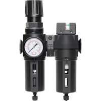Filtre/d&eacute;tendeur & filtre coalescent Modulair 300 avec bol standard & drain manuel, 3/8" NPTF, 150 psi, Capacit&eacute; de 5,12 oz liq Les Fournitures Industrielles Méga