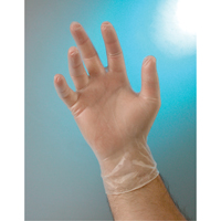 Examination Grade Gloves, Small, Vinyl, 4-mil, Powder-Free, Clear, Class 2 Les Fournitures Industrielles Méga