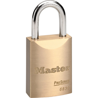 ProSeries&reg; Padlock, Silver, Keyed Different, Brass Coating, 1-9/16" Width Les Fournitures Industrielles Méga