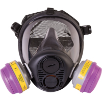 Respirateur &agrave; masque complet de s&eacute;rie RU6500 de North, Silicone, Grand Les Fournitures Industrielles Méga