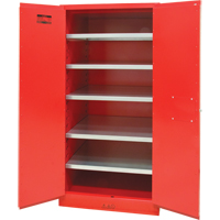 Armoire pour peintures et encres, 96 gal., 5 tablettes Les Fournitures Industrielles Méga