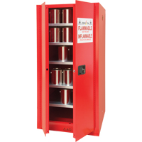 Armoire pour peintures et encres, 96 gal., 5 tablettes Les Fournitures Industrielles Méga