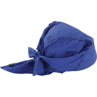 Chill-Its&reg; 6710CT Cooling Triangle Hats, Blue Les Fournitures Industrielles Méga
