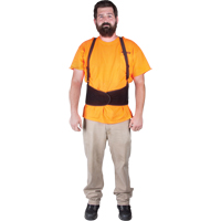 Back Support, Elastic, Small Les Fournitures Industrielles Méga