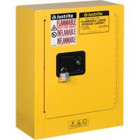 Mini-armoires de s&eacute;curit&eacute; Sure-Grip EX pour produits inflammables, 2 gal., 1 Porte(s), 17" La x 22" h x 8" p Les Fournitures Industrielles Méga