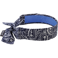 Chill-Its&reg; 6700CT Cooling Bandanas, Blue Les Fournitures Industrielles Méga
