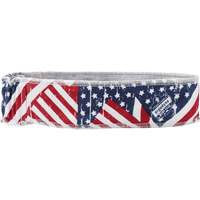 Chill-Its 6605 Cooling Headbands, Multi-Colour Les Fournitures Industrielles Méga