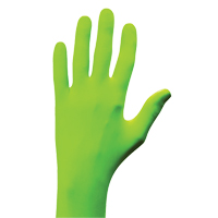 Gants N-Dex, Petit, Nitrile, 5 mils, Sans poudre, Vert Les Fournitures Industrielles Méga