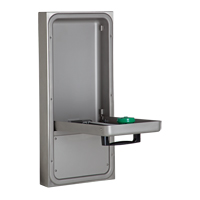 Eye/Face Wash Station, Wall-Mount Installation Les Fournitures Industrielles Méga