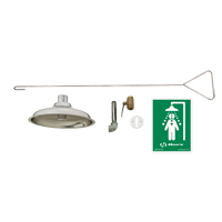 Concealed Drench Shower, Ceiling-Mount Les Fournitures Industrielles Méga