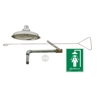 Drench Shower, Ceiling-Mount Les Fournitures Industrielles Méga