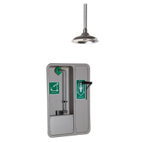 Eye/Face Wash and Shower, Ceiling-Mount Les Fournitures Industrielles Méga