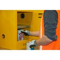 Flammable Storage Cabinet, 4 gal., 1 Door, 17" W x 22" H x 18" D Les Fournitures Industrielles Méga