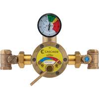 Emergency Eyewash & Shower Water Blending Systems