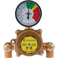 Mixing Valve for Exposed Assembly of Eye/Facewash, 9 gpm Les Fournitures Industrielles Méga