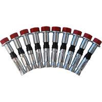 Replacement Bolt Kit for Concrete D-Ring Anchors, Bolt-On, Permanent/Temporary Use Les Fournitures Industrielles Méga