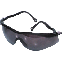 Lunettes de s&eacute;curit&eacute; North The Edge, Lentille Fum&eacute;e, Antibu&eacute;e/Anti-&eacute;gratignures, R&eacute;pond ou surpasse la norme CSA Z94.3 Les Fournitures Industrielles Méga