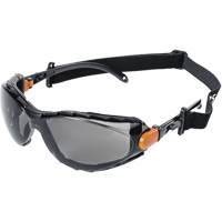 XPS502 Lunettes de s&eacute;curit&eacute; &eacute;tanches, Lentille Fum&eacute;e, Antibu&eacute;e/Anti-&eacute;gratignures Les Fournitures Industrielles Méga