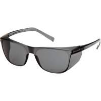 Lunettes de s&eacute;curit&eacute; Legacy, Lentille Gris, ANSI Z87+/R&eacute;pond ou surpasse la norme CSA Z94.3 Les Fournitures Industrielles Méga