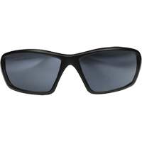 Lunettes de s&eacute;curit&eacute; Robson avec joint, Lentille Miroir argent&eacute;, Anti-&eacute;gratignures/Polaris&eacute;, ANSI Z87+/MCEPS GL-PD 10-12/R&eacute;pond ou surpasse la norme CSA Z94.3 Les Fournitures Industrielles Méga
