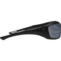 Lunettes de s&eacute;curit&eacute; Robson avec joint, Lentille Miroir argent&eacute;, Anti-&eacute;gratignures/Polaris&eacute;, ANSI Z87+/MCEPS GL-PD 10-12/R&eacute;pond ou surpasse la norme CSA Z94.3 Les Fournitures Industrielles Méga