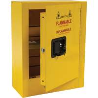 Mini Flammable Safety Cabinet, 2 Gal., 1 Door, 17" W x 22" H x 8" D Les Fournitures Industrielles Méga