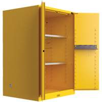 Armoire de s&eacute;curit&eacute; pour produits inflammables Utili-Guard+, 45 gal., 2 Porte(s), 43" La x 65" h x 22" p Les Fournitures Industrielles Méga