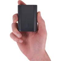 N-Ferno&reg; Portable Battery Power Bank with USB-C Cord Les Fournitures Industrielles Méga