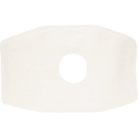 North&reg; Replacement Filter, Particulate Filter, N99 Filter Les Fournitures Industrielles Méga